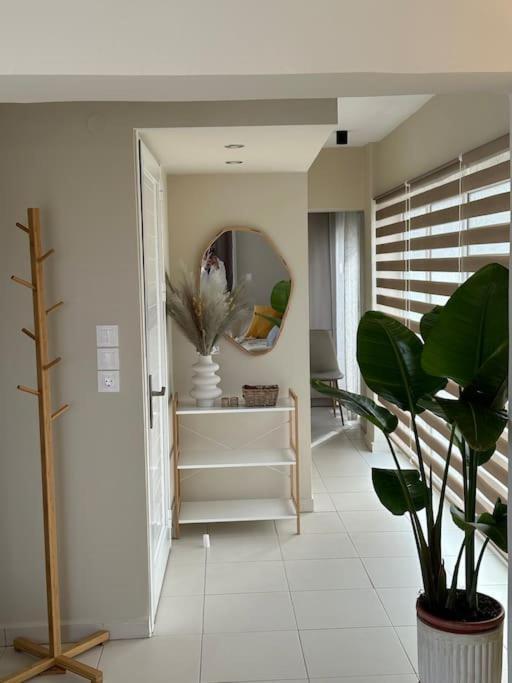Filoxenia City Apartment Zakynthos stad Exteriör bild